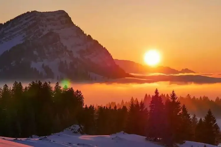 AO Sex Appenzell-Ausserrhoden
