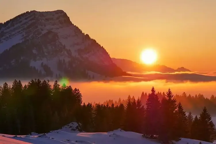AO Sex Appenzell