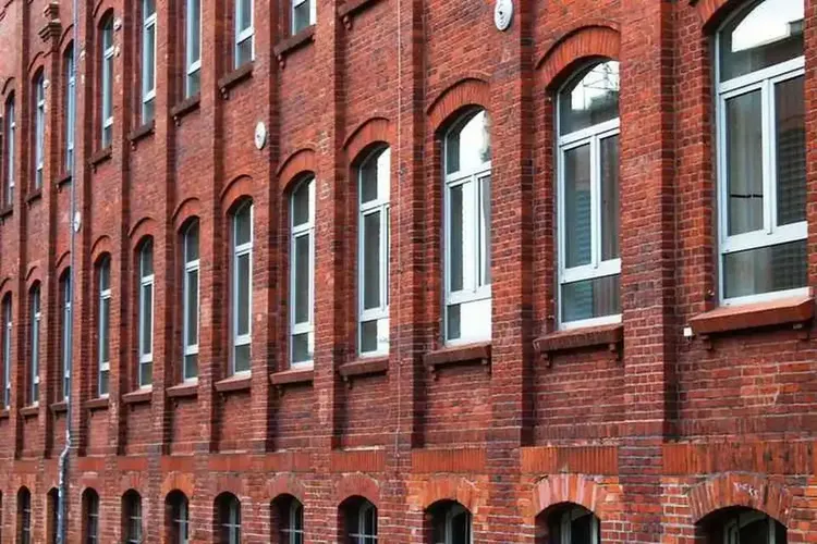 AO Sex Dessau-Roßlau