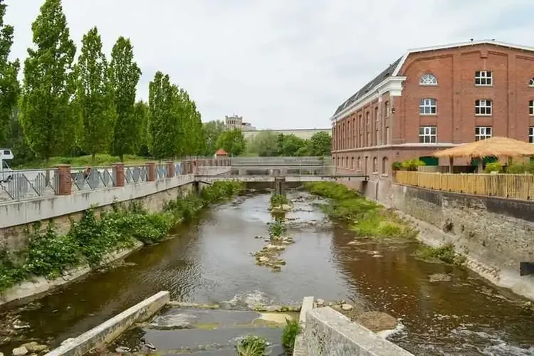 AO Sex Gronau