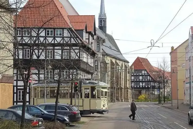 AO Sex Halberstadt
