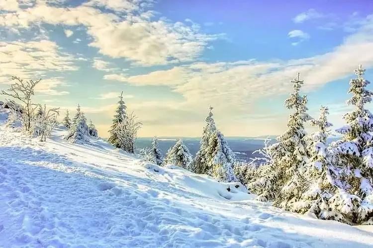 AO Sex Harz