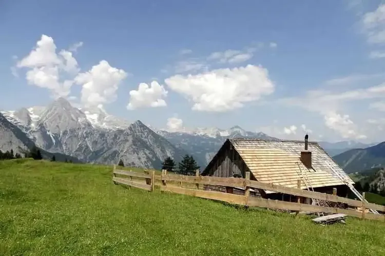 AO Sex Oberösterreich