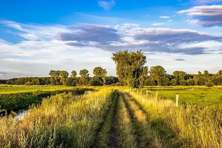 AO Sex Region Hannover