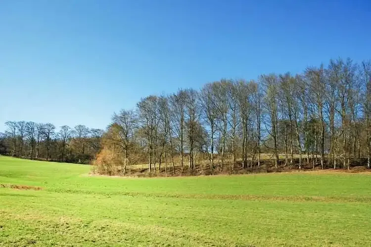 AO Sex Schwandorf