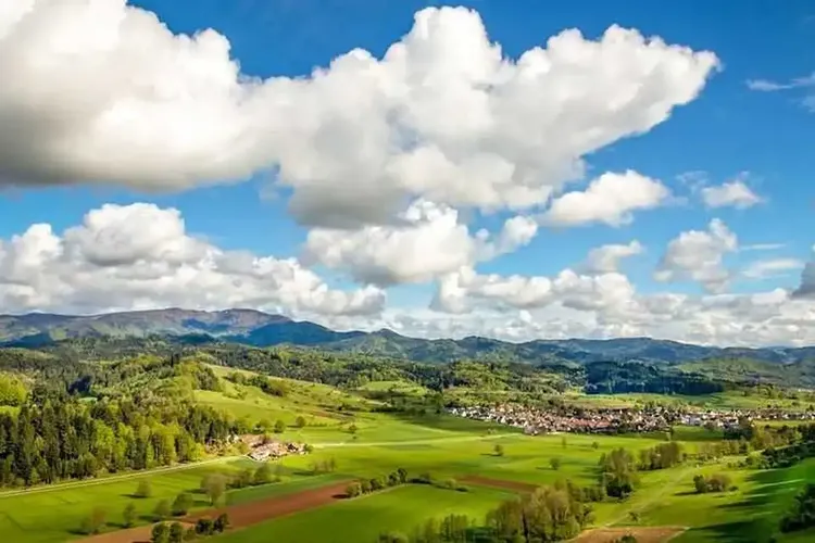 AO Sex Schwarzwald