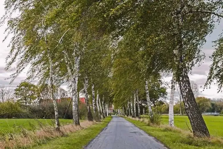 AO Sex Senden Westfalen